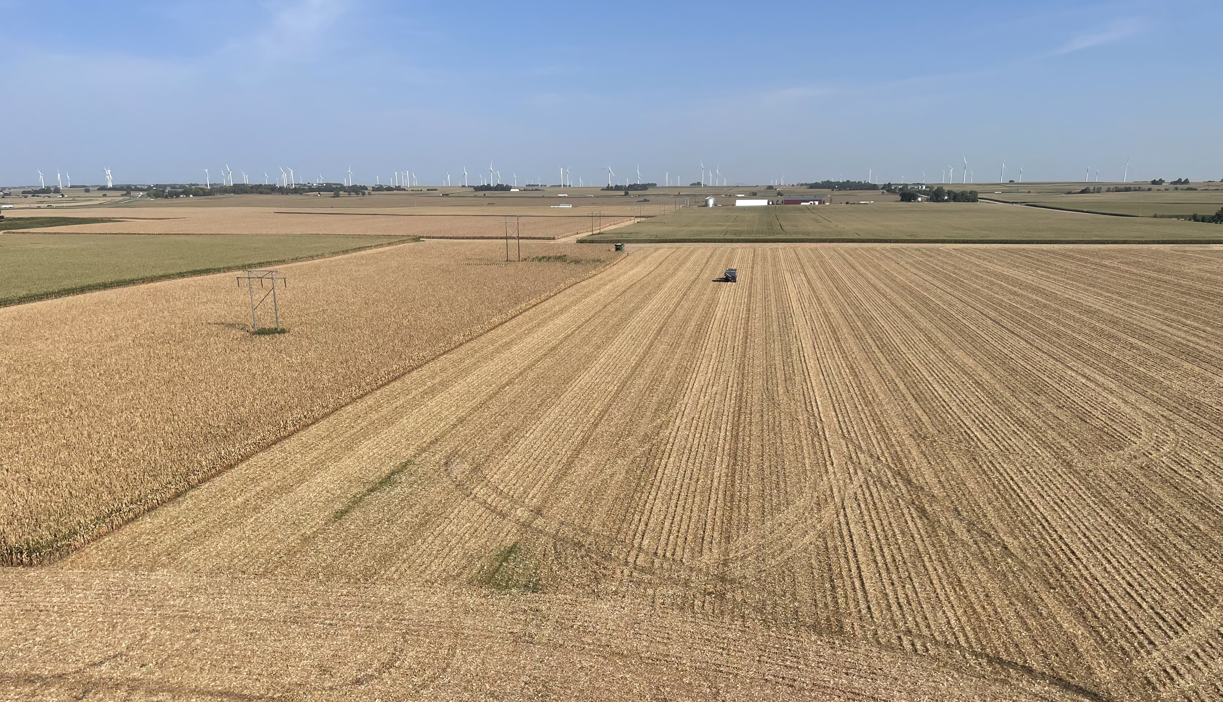 corn field being harvested
